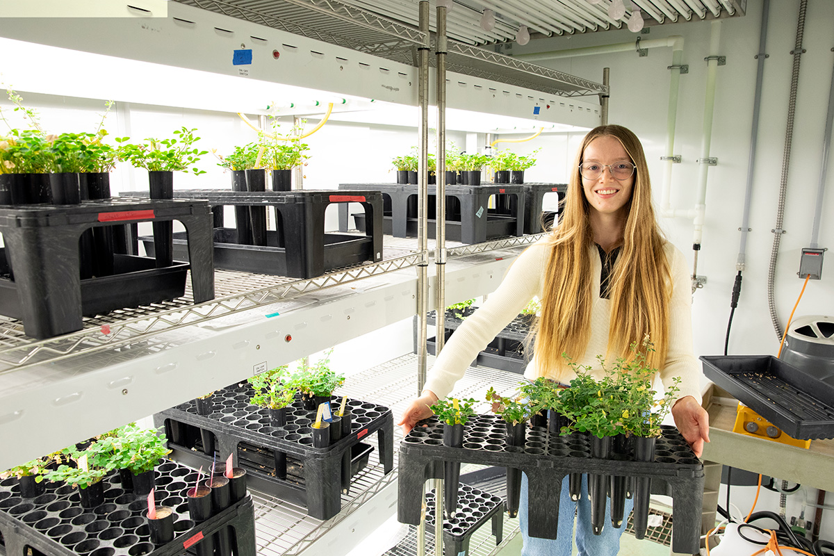 A person standing in a room that looks like a greenhouse, with plants on two shelves. The person is also holding a black plant holder full of plants. 