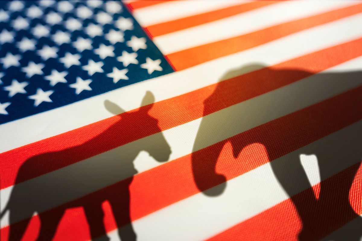 An American flag background with silhouettes of a donkey and an elephant.