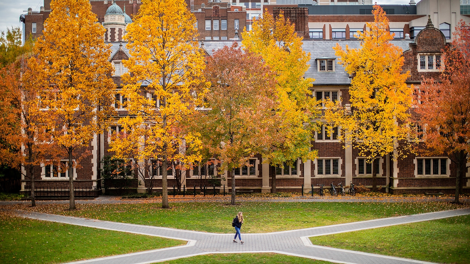 Trees in the quad on Penn's campus that have started to change color for fall. A single person walks on a walkway.